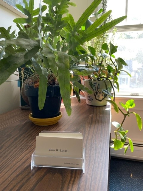 business cards and plants in office